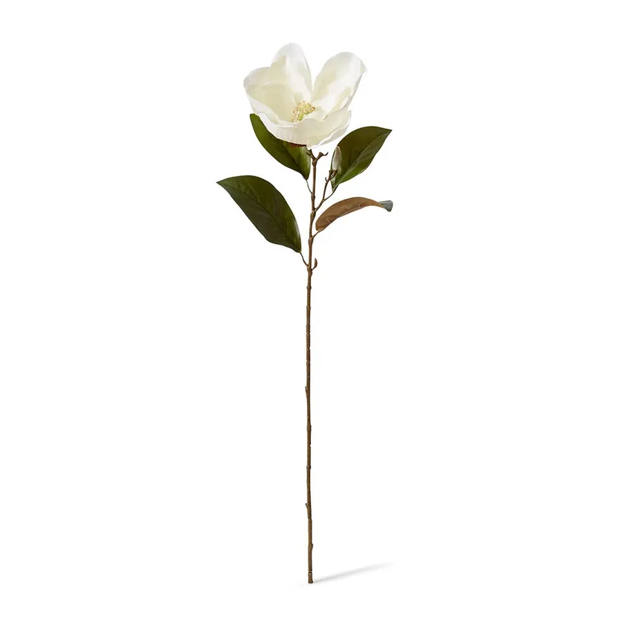 Magnolia Flower Stem White - 20cm x 14cm x 74cm