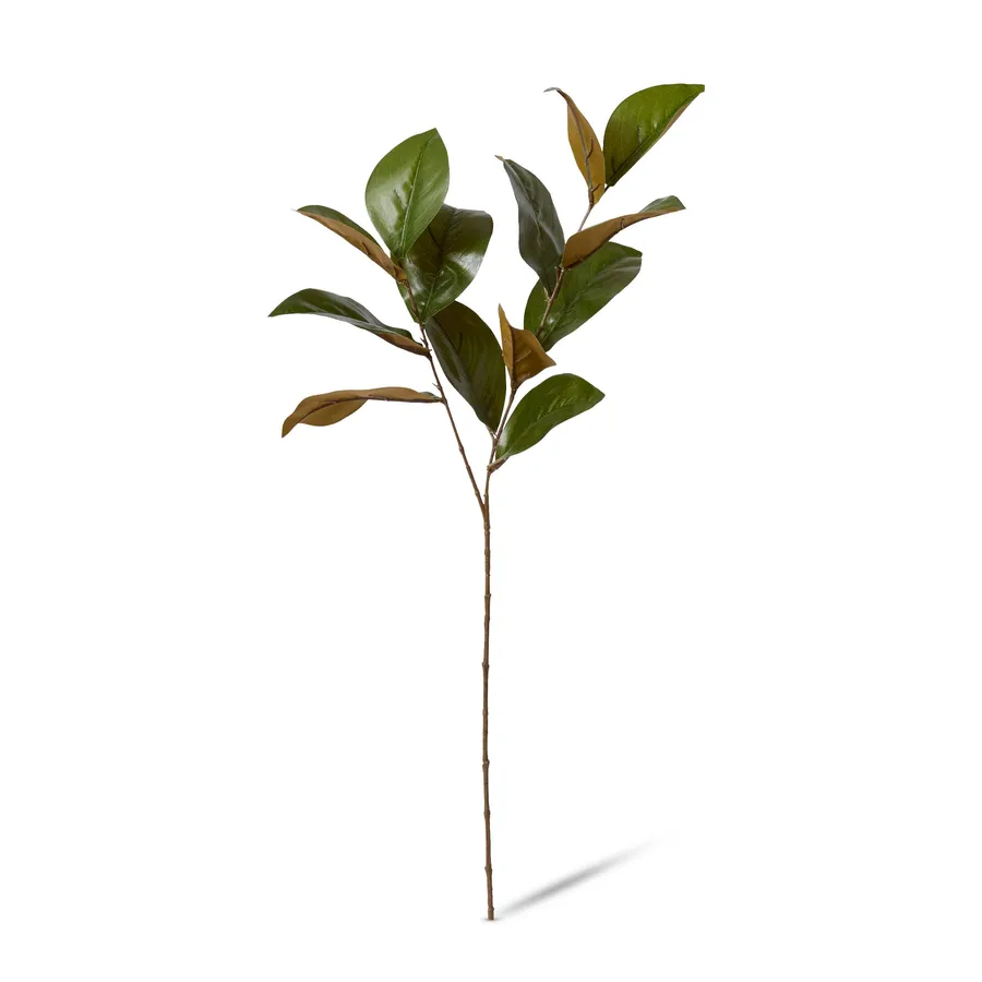 Magnolia Leaf Green Spray - 25cm x 16cm x 76cm