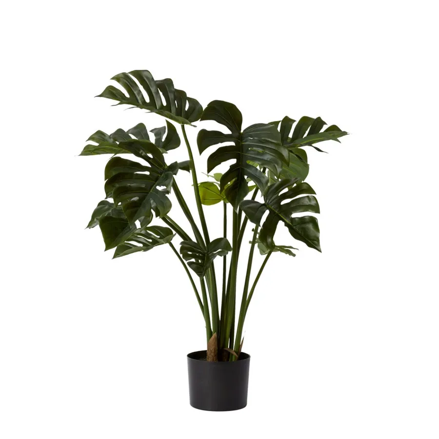 Monstera Potted Plant Green - 40cm x 40cm x 80cm