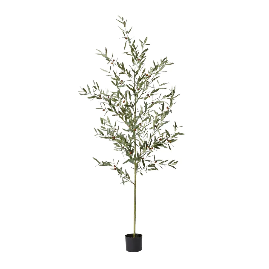 Olive Potted Tree Grey Green - 75cm x 75cm x 200cm