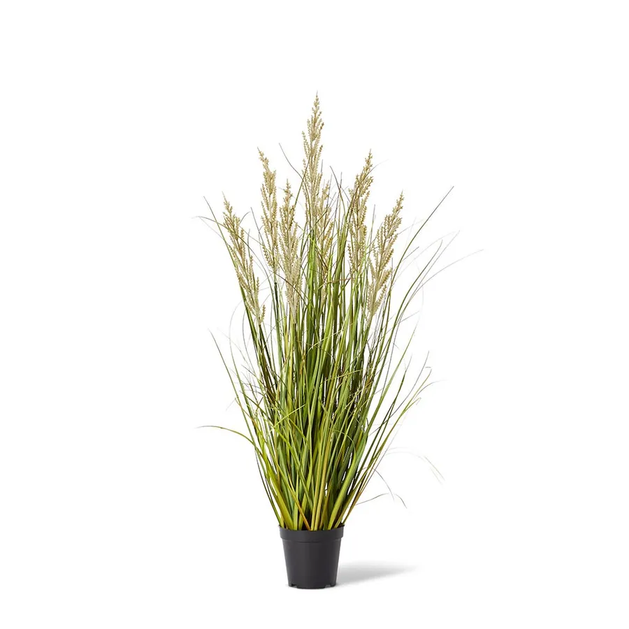 Prairie Grass Green/Green - 50cm x 50cm x 90cm