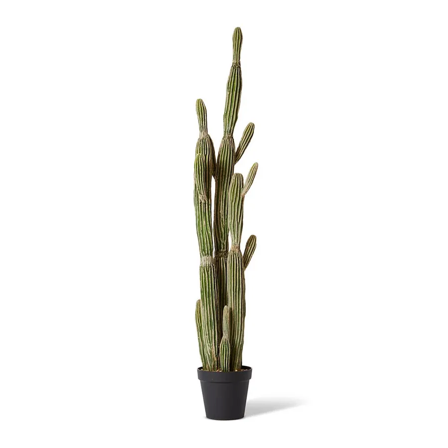 Saguaro Cactus Potted Plant Green - 30cm x 30cm x 152cm