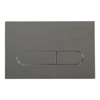 Wall Dual Flush Plate/Button Oval Matte Chrome | Made From ABS In Silver/Chrome Finish By Raymor