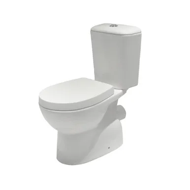 Suite Classic Close Coupled Pnv P Trap Rimless 4Star In White By Raymor