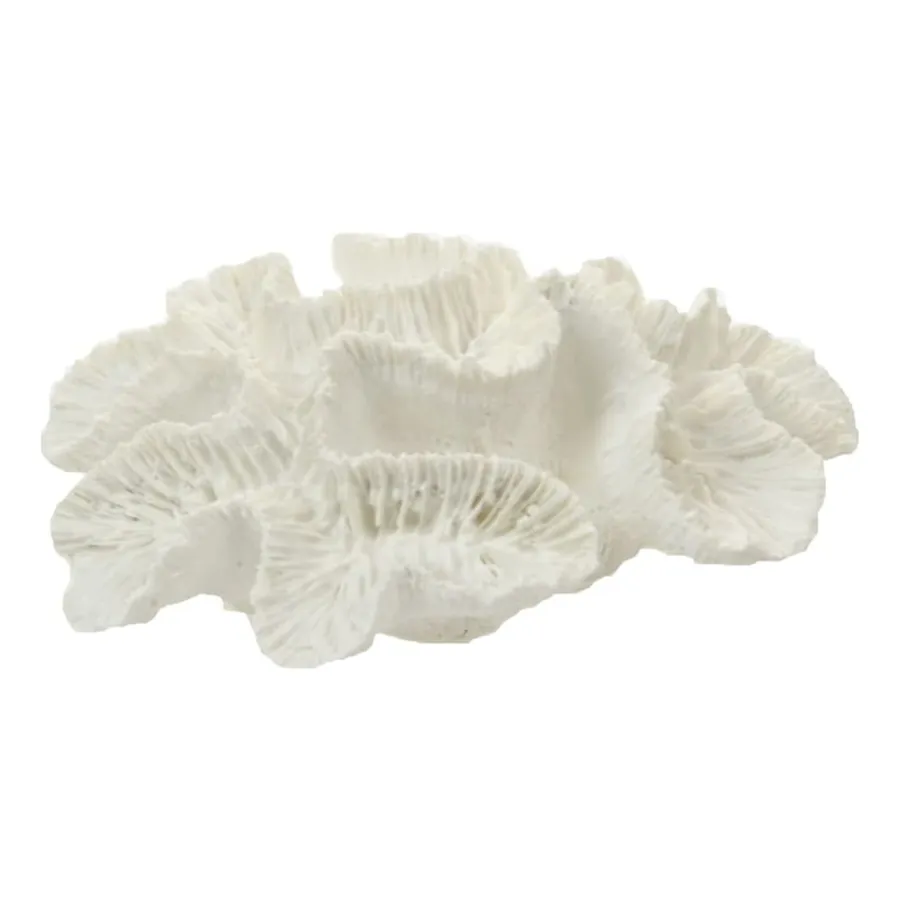 Flower Coral Sculpture 15x12cm in White