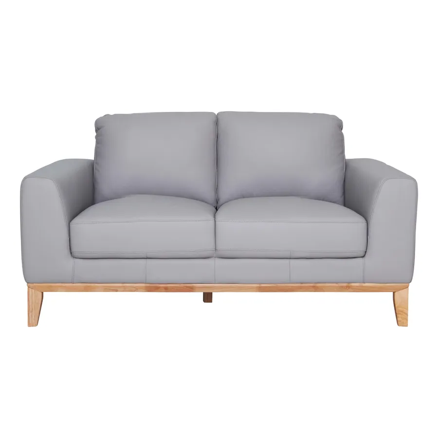 Dante 2 Seater Sofa in Leather Pewter