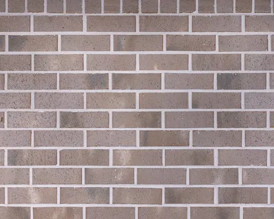 Archetype (Warm Collection) - Mellow