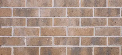 Archetype (Warm Collection) - Jute