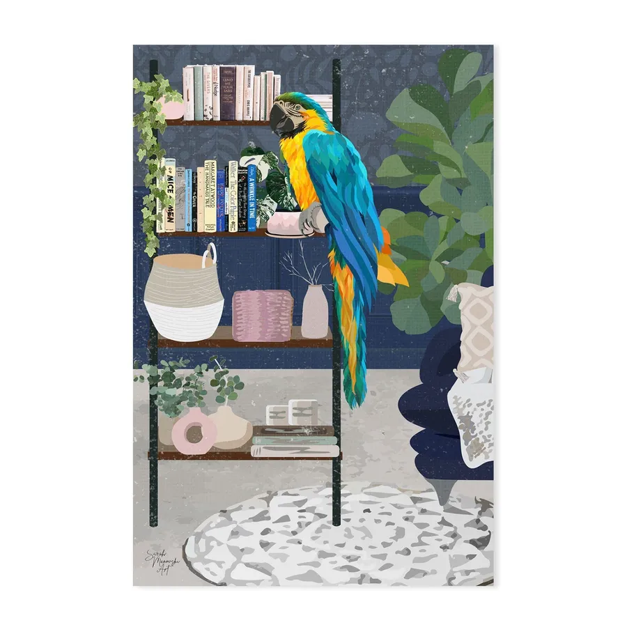 Macaw Poetry
