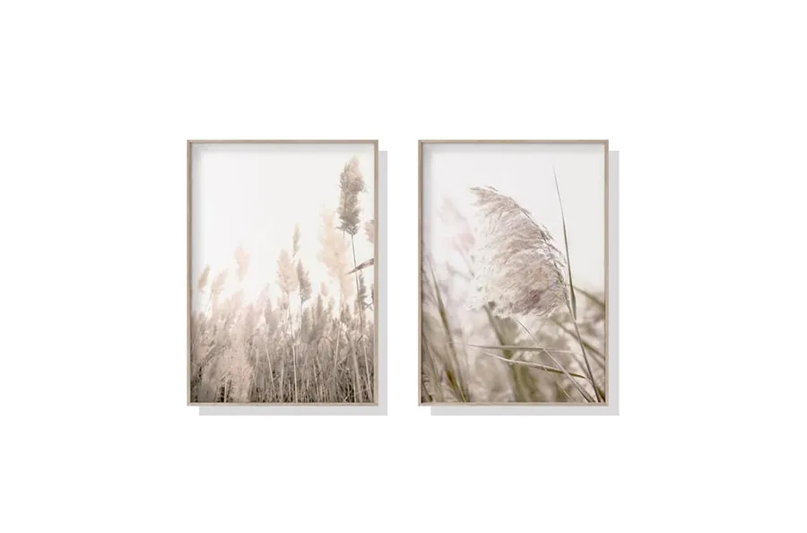 Set of 2 Pampas Grass Wall Art Canvas 3 sizes available 60cm x 40cm