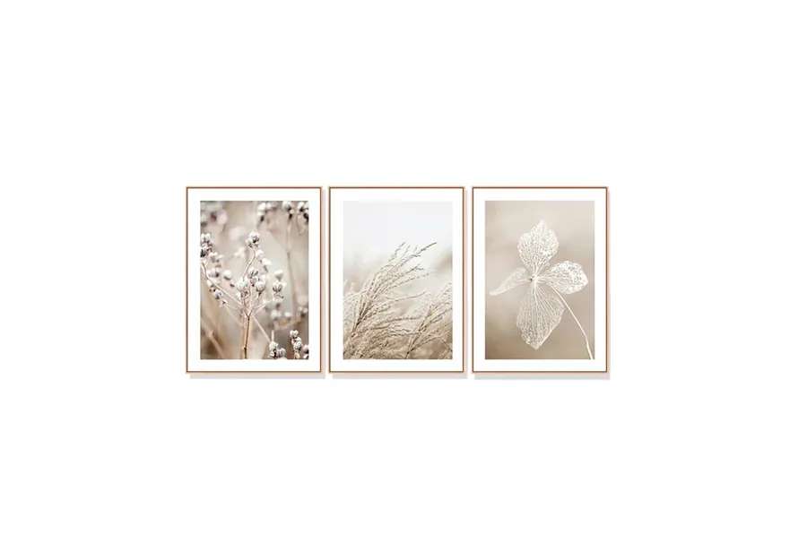 Set of 3  Dried Flowers Wall Art Canvas 3 sizes available 60cm x 40cm