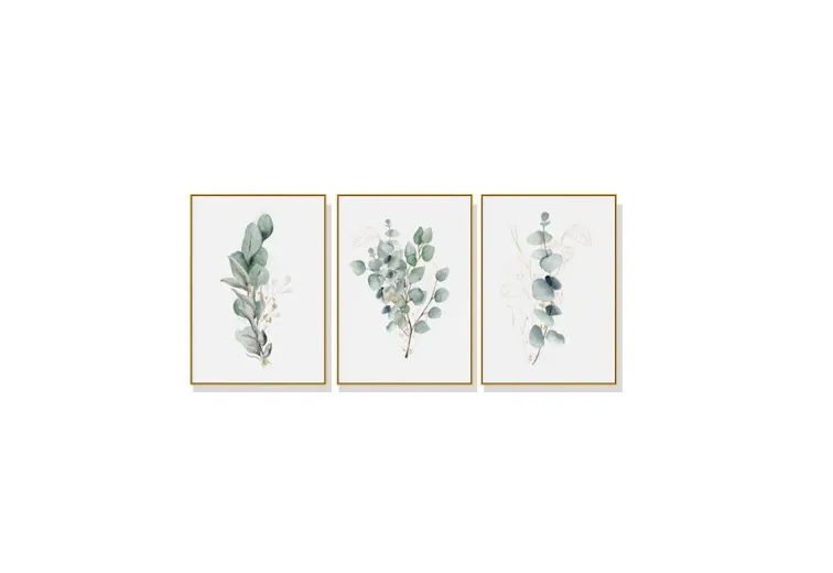 Set of 3 Botanical Plant Eucalyptus Wall Art Canvas 3 sizes available 60cm x 40cm