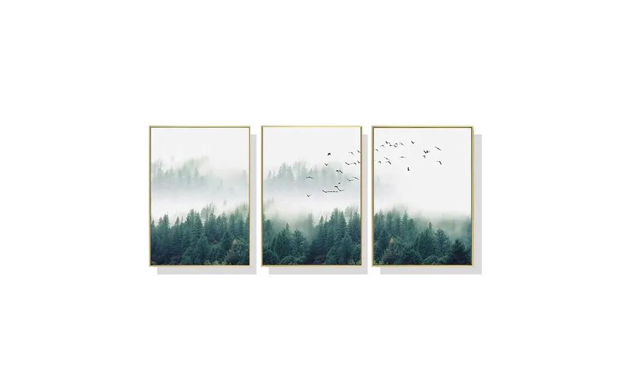 Set of 3 Forest Fog Wall Art Canvas 3 sizes available 60cm x 40cm