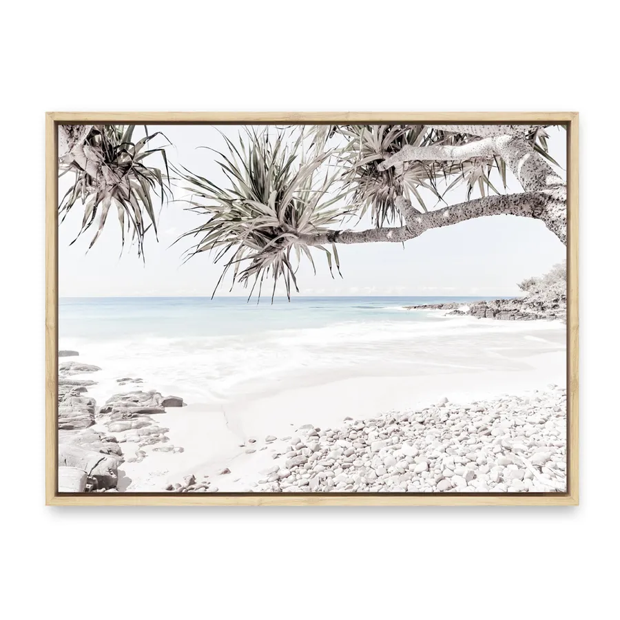 Sunshine Coast Photo Canvas Print