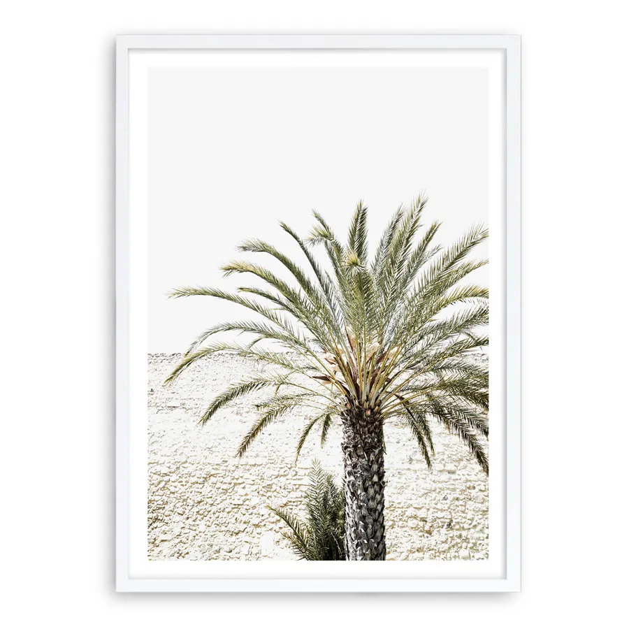 Vacation Palm Photo Art Print