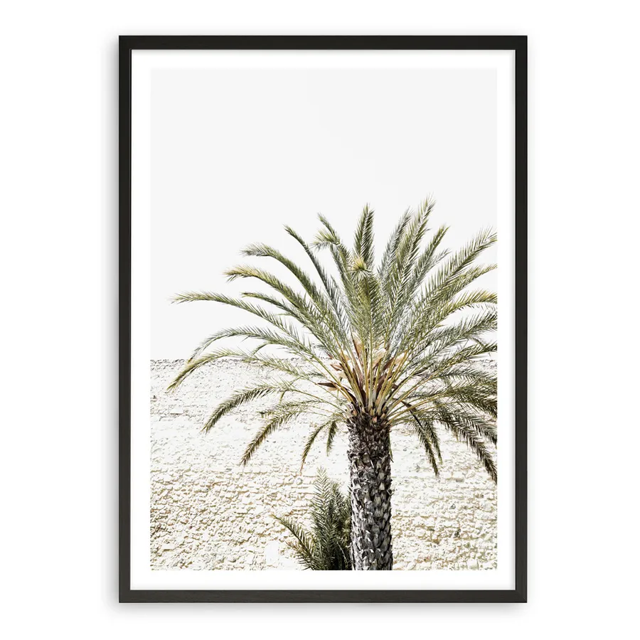 Vacation Palm Photo Art Print