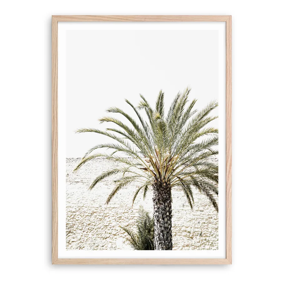 Vacation Palm Photo Art Print