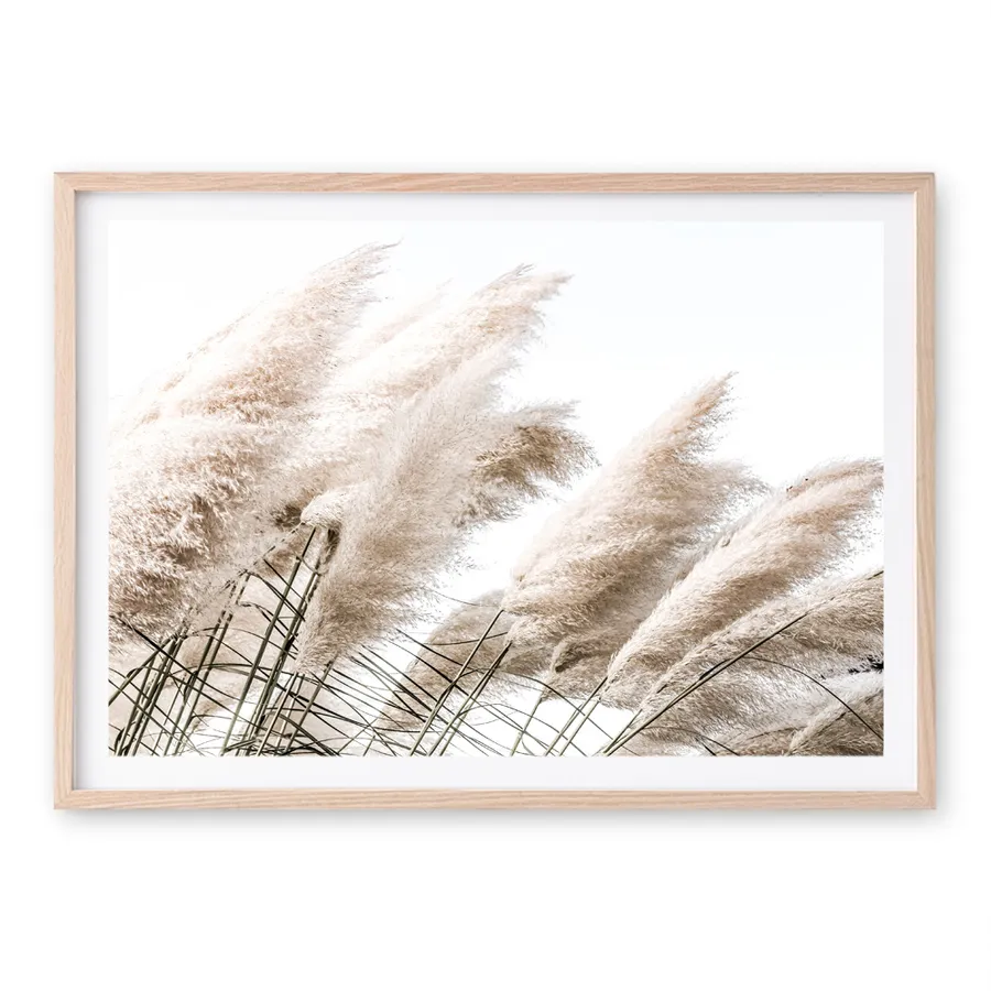 Pampas Photo Art Print