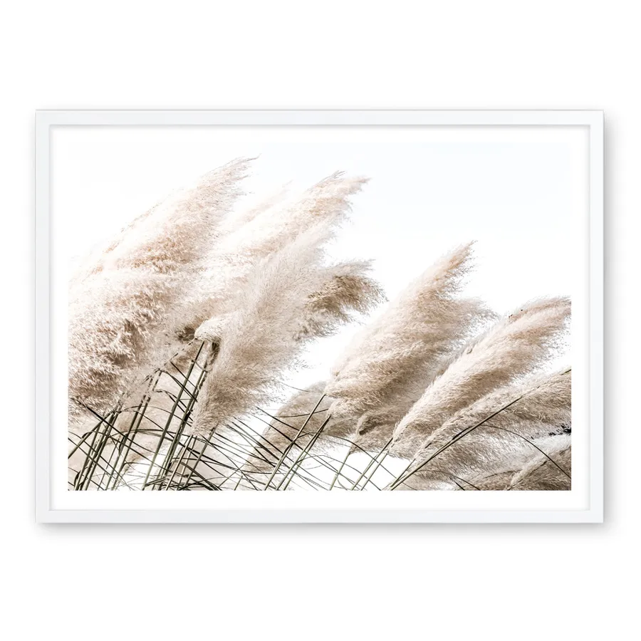 Pampas Photo Art Print