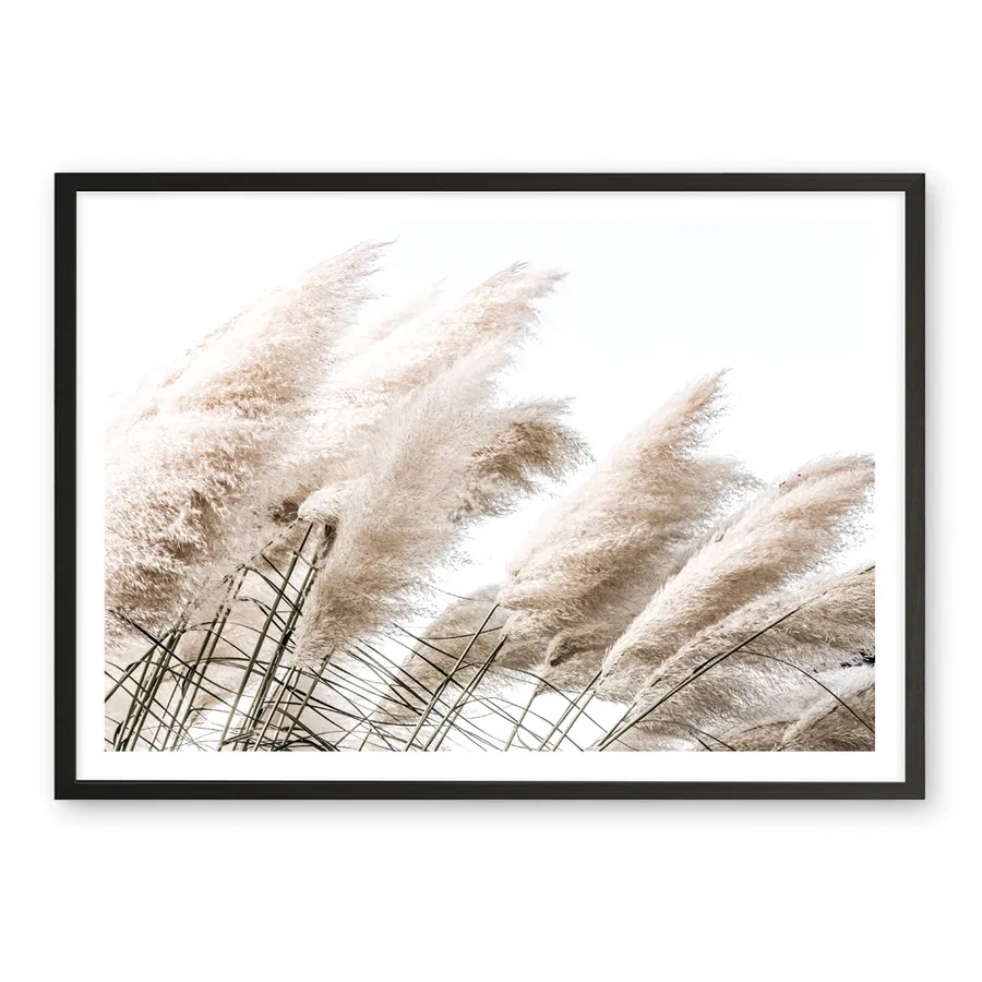 Pampas Photo Art Print