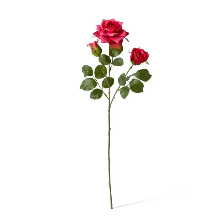 Rose Classic Spray - 13 x 7 x 56cm