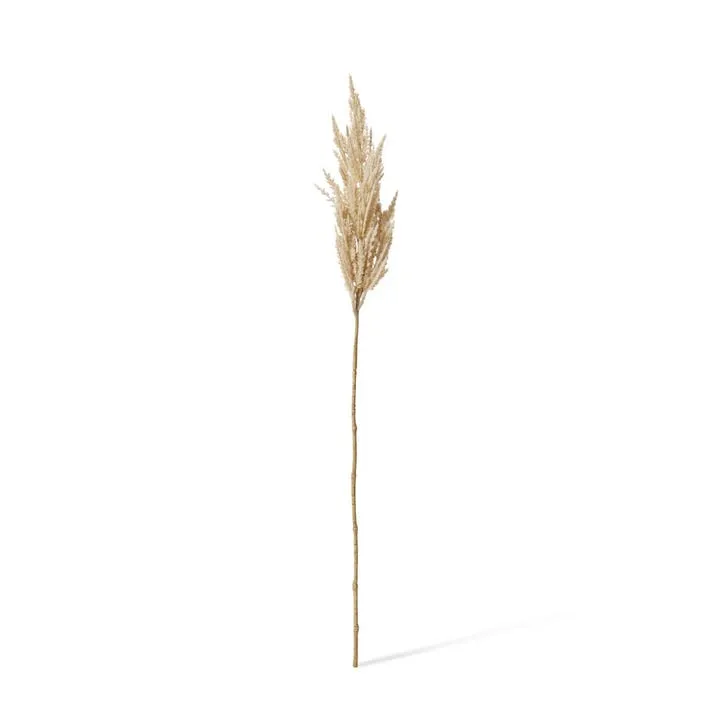 Pampas Grass Stem - 10 x 10 x 83cm