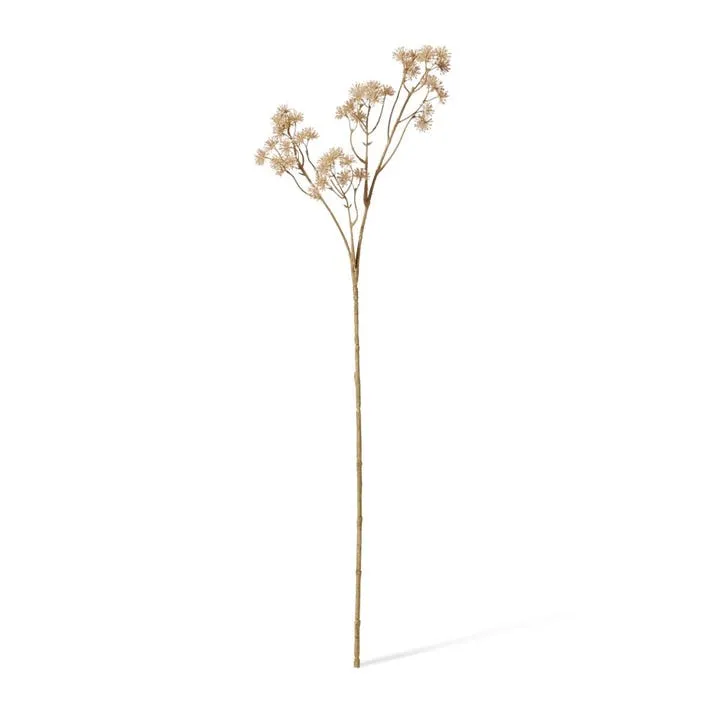 Aralia Deco Seed Spray - 13 x 11 x 84cm