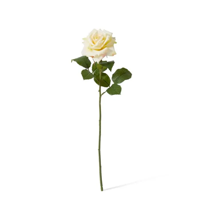 Rose Classic Stem - 9 x 7 x 46cm