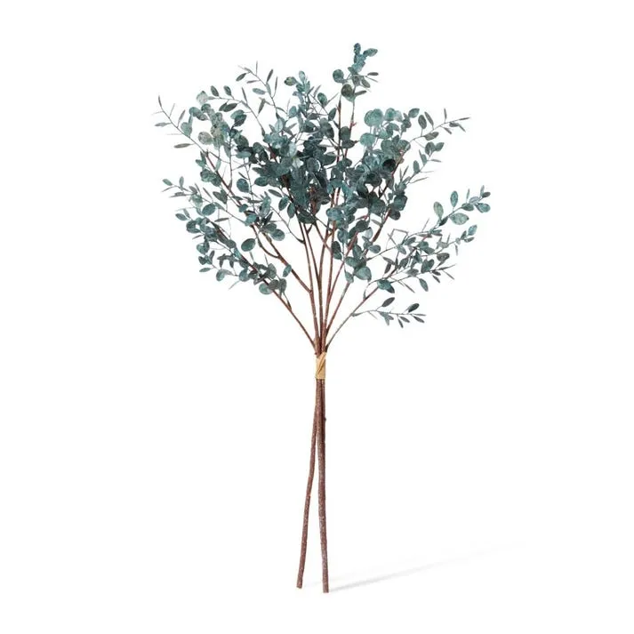 Eucalyptus Decor Bundle - 25 x 25 x 72cm