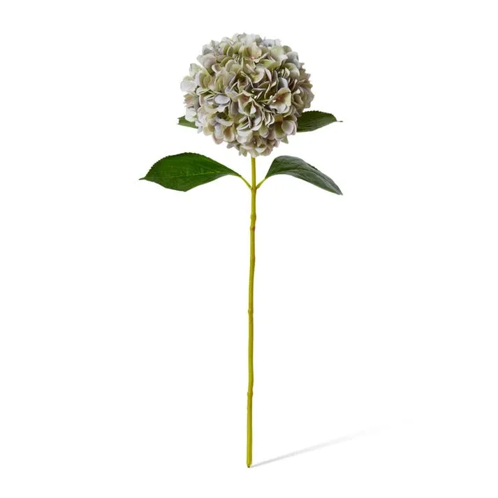 Hydrangea Grand Stem - 25 x 25 x 69cm