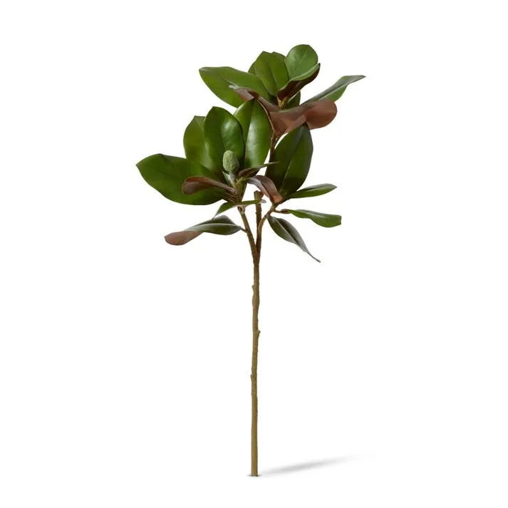 Magnolia Grand Leaves Branch - 38 x 28 x 82cm