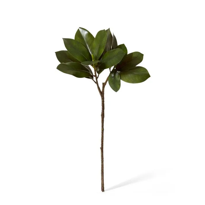 Magnolia Leaf Spray - 40 x 40 x 70cm