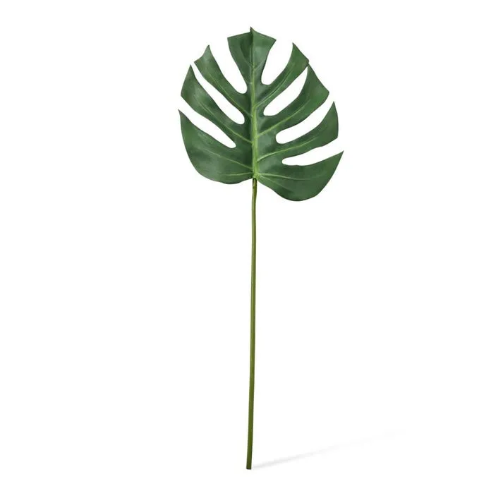 Monstera Lush Stem - 28 x 2 x 75cm
