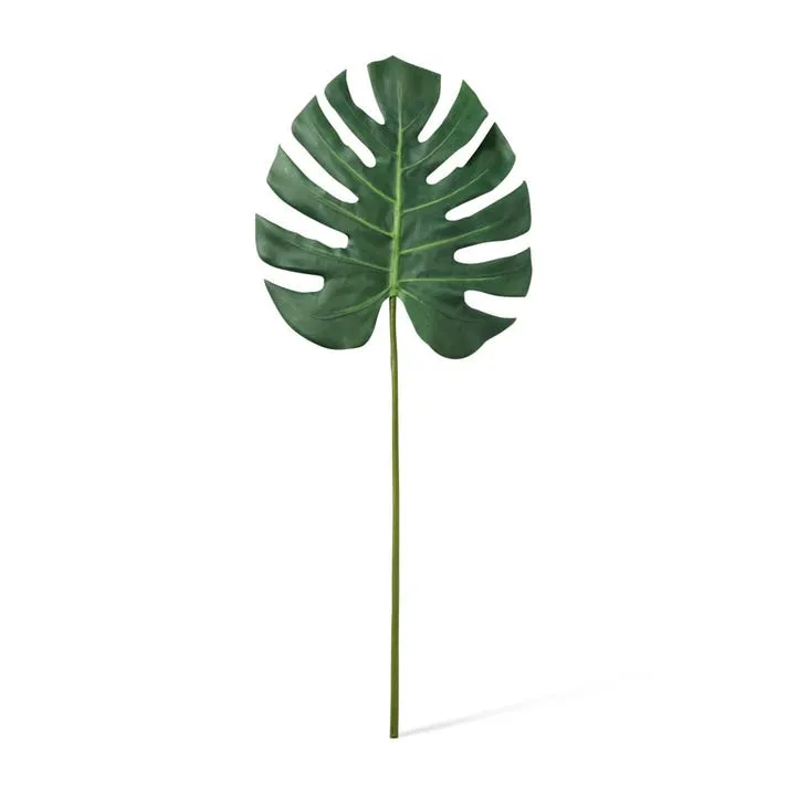 Monstera Lush Stem - 33 x 2 x 78cm