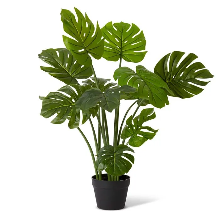 Monstera Plant Potted - 41 x 41 x 90 cm