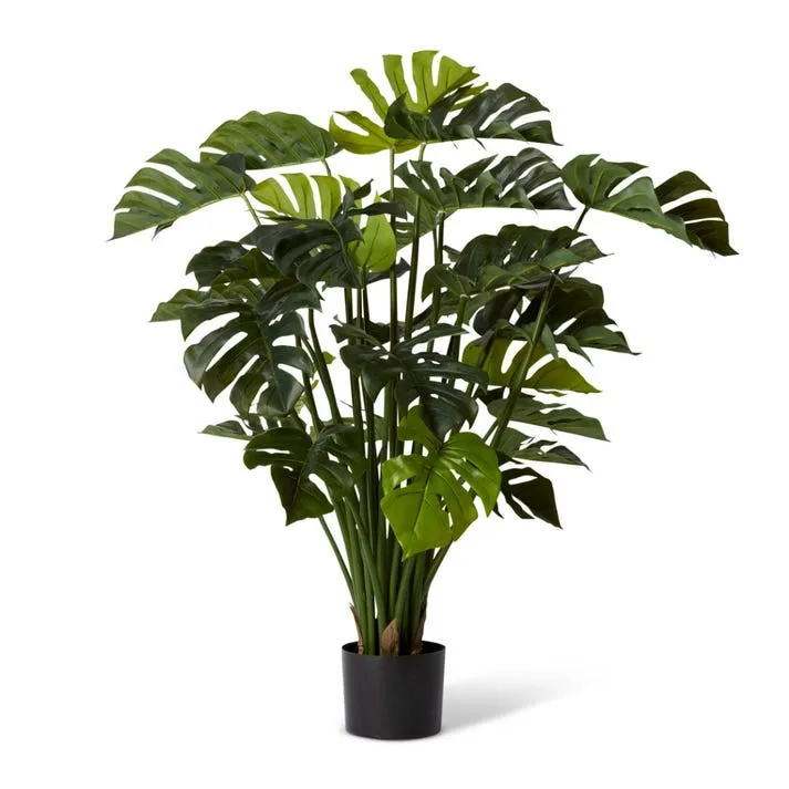 Monstera Potted - 50 x 50 x 100cm