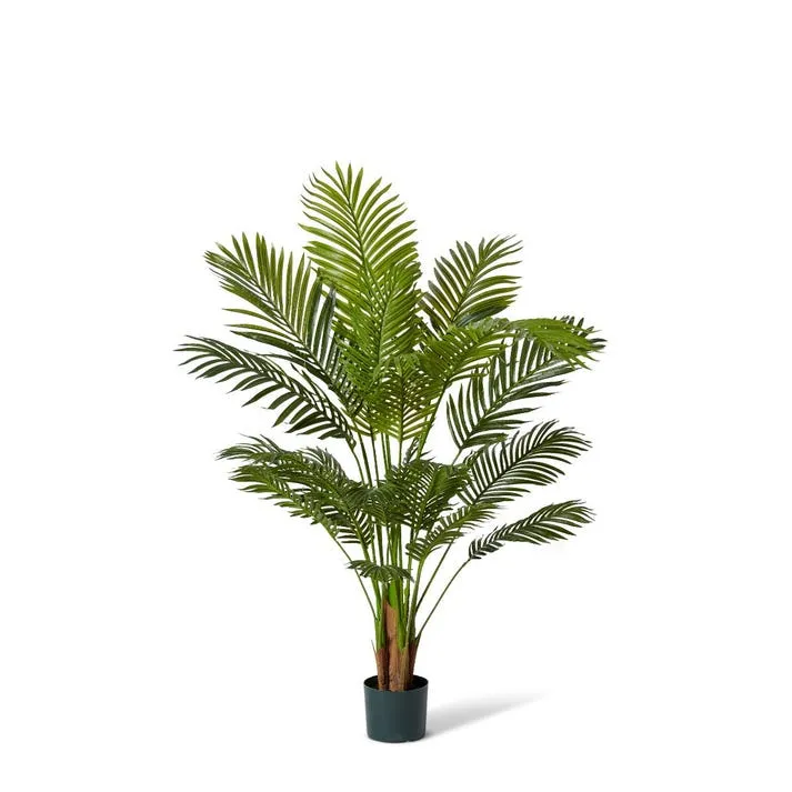 Palm Areca - 85 x 85 x 137cm