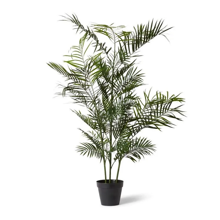 Palm Areca Outdoor - 150 x 80 x 150 cm