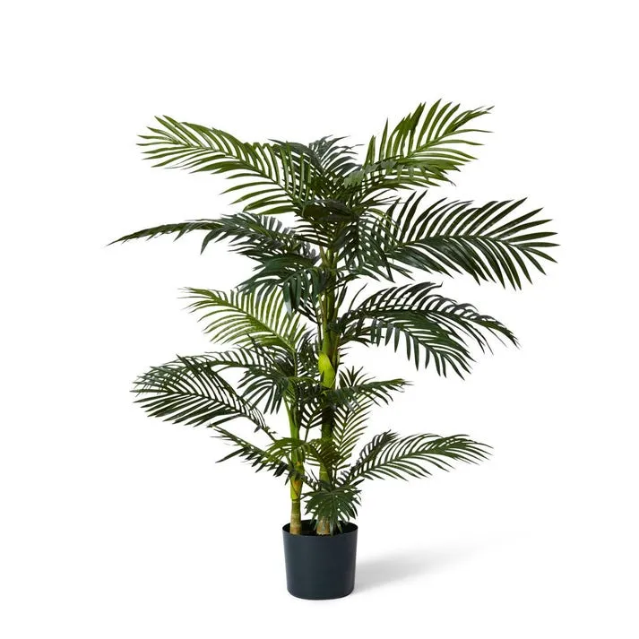 Palm Cane - 80 x 80 x 152cm
