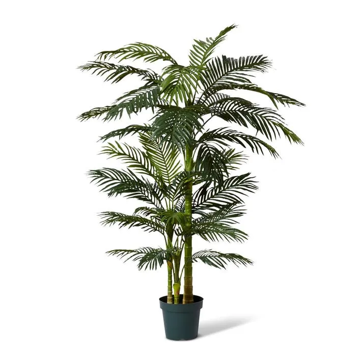 Palm Cane - 100 x 100 x 198cm