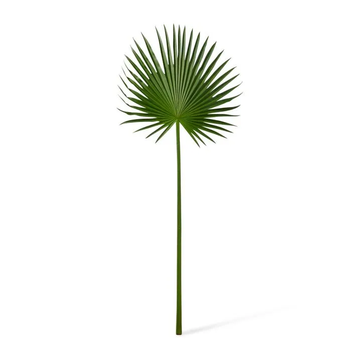 Palm Fan Leaf - 38 x 1 x 84cm