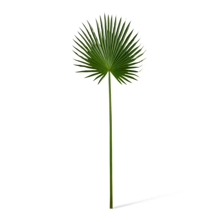 Palm Fan Leaf - 45 x 1 x 112cm
