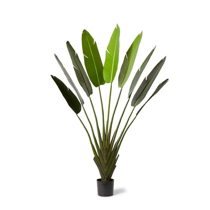 Palm Travellers - 100 x 40 x 180cm