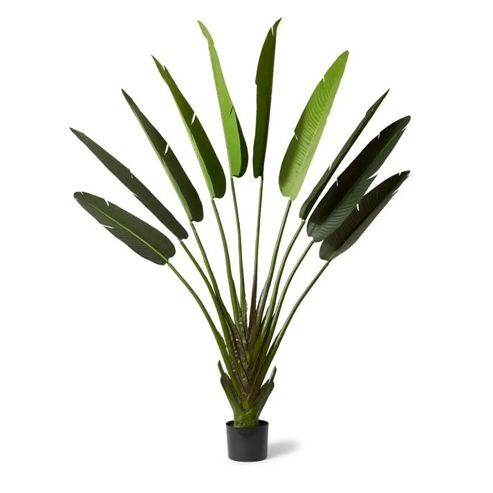 Palm Travellers - 110 x 40 x 220cm