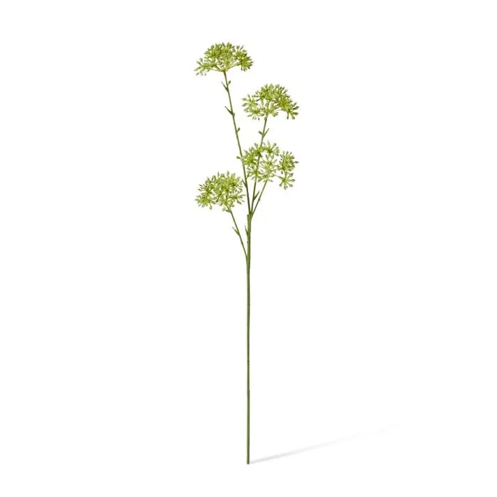 Seeding Nut Spray - 23 x 15 x 58cm