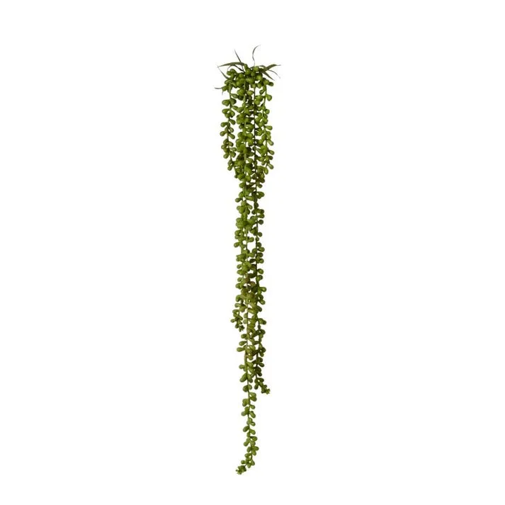 String of Pearls Hanging Plant - 8 x 8 x 71cm