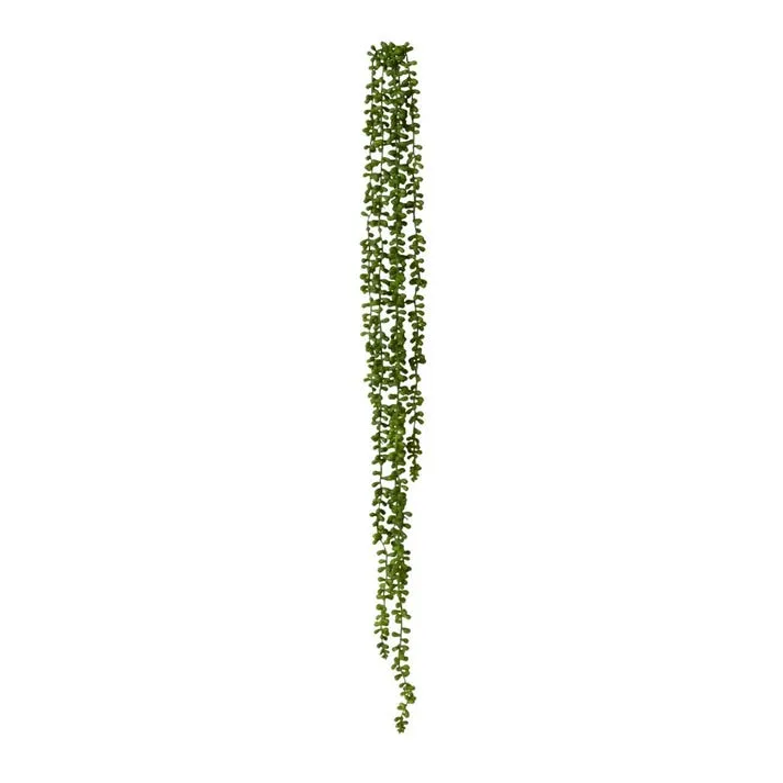 String of Pearls Hanging Plant - 10 x 8 x 96cm