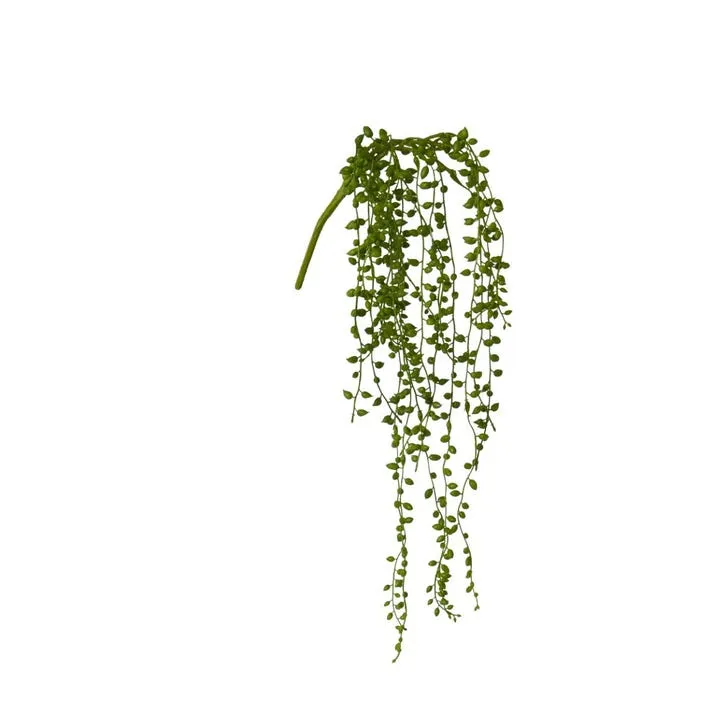 String of Pearls Hanging Plant - 13 x 7 x 49cm