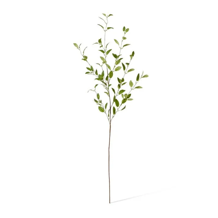 Tea Leaf Spray - 30 x 25 x 120cm