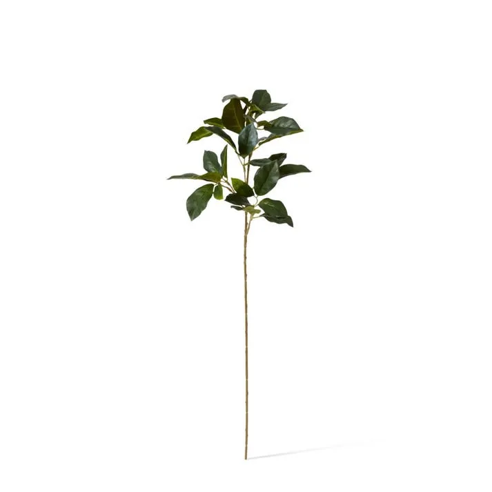 Viburnum Spray - 17 x 20 x 66cm